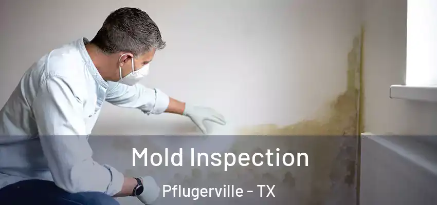  Mold Inspection Pflugerville - TX
