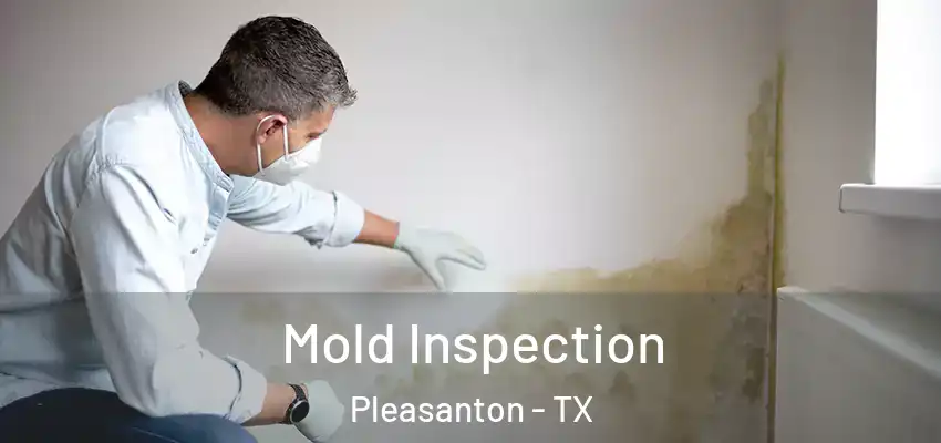 Mold Inspection Pleasanton - TX
