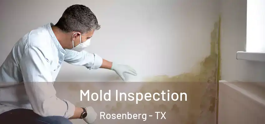 Mold Inspection Rosenberg - TX