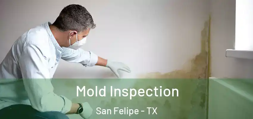  Mold Inspection San Felipe - TX