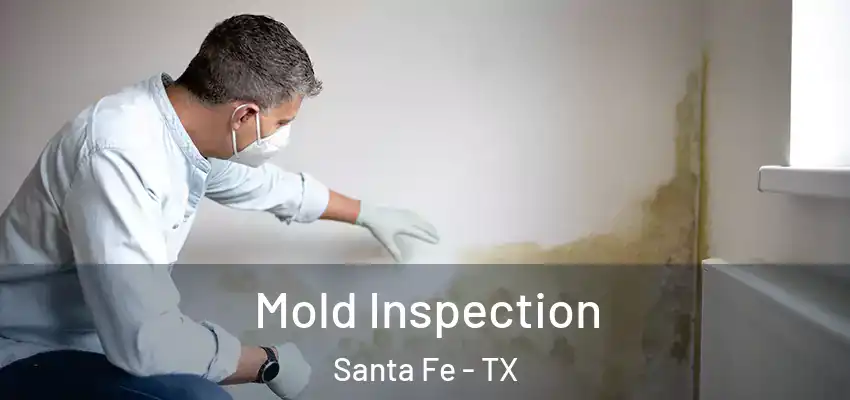 Mold Inspection Santa Fe - TX