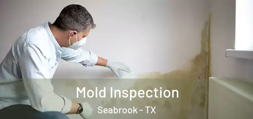 Mold Inspection Seabrook - TX