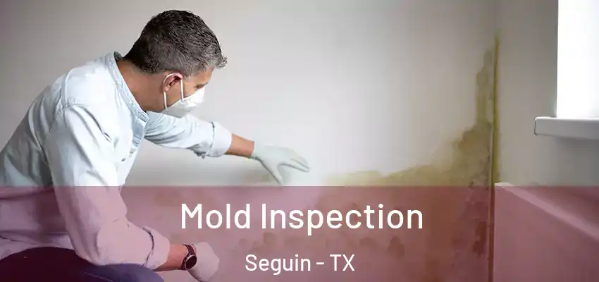 Mold Inspection Seguin - TX