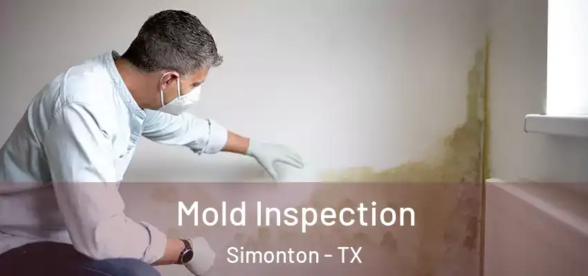  Mold Inspection Simonton - TX