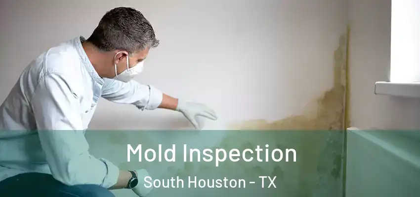 Mold Inspection South Houston - TX