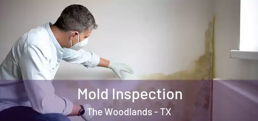  Mold Inspection The Woodlands - TX