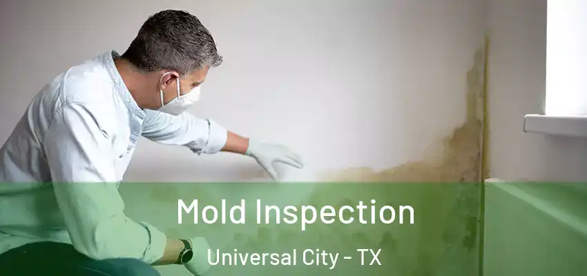 Mold Inspection Universal City - TX