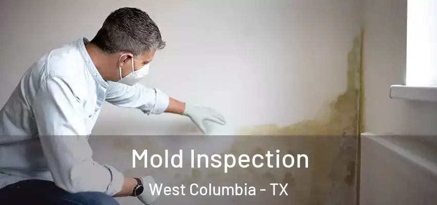  Mold Inspection West Columbia - TX