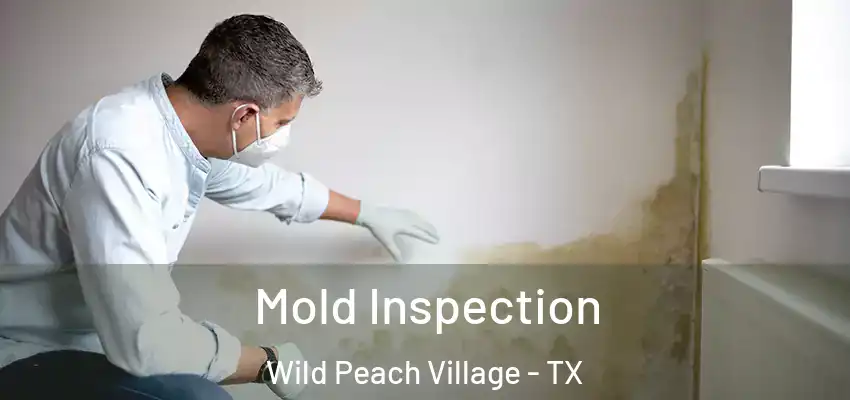  Mold Inspection Wild Peach Village - TX