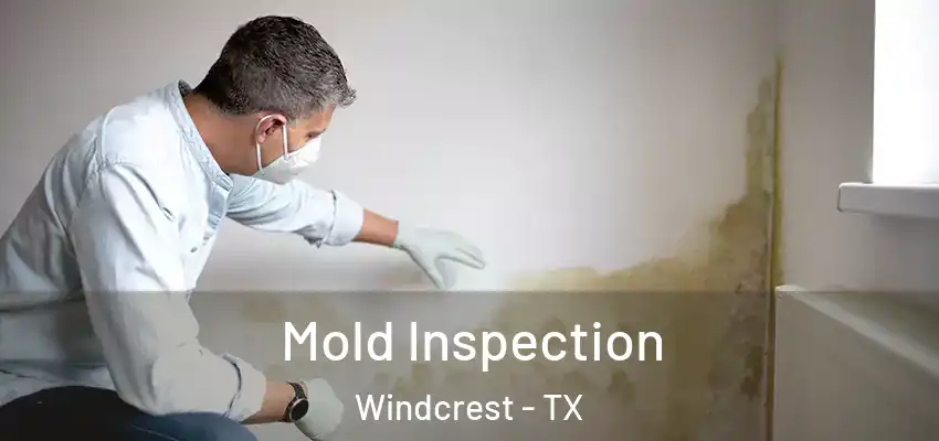  Mold Inspection Windcrest - TX