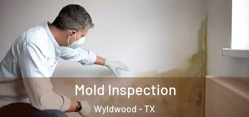  Mold Inspection Wyldwood - TX