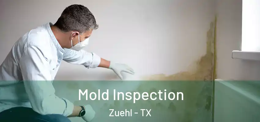  Mold Inspection Zuehl - TX