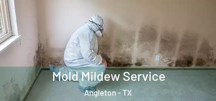Mold Mildew Service Angleton - TX