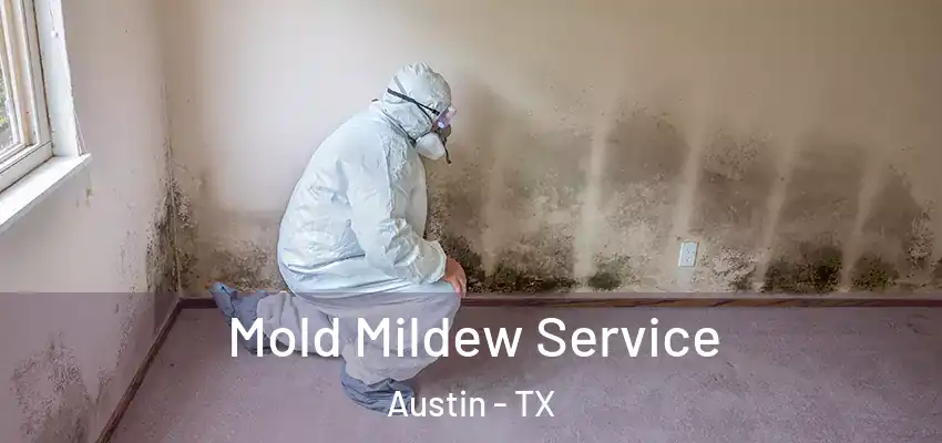 Mold Mildew Service Austin - TX