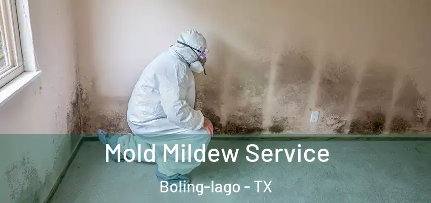  Mold Mildew Service Boling-Iago - TX