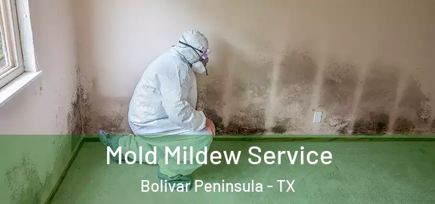  Mold Mildew Service Bolivar Peninsula - TX