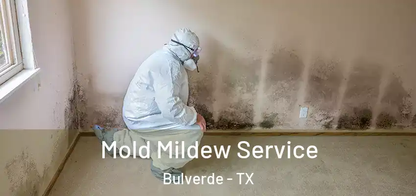Mold Mildew Service Bulverde - TX