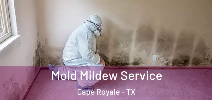 Mold Mildew Service Cape Royale - TX