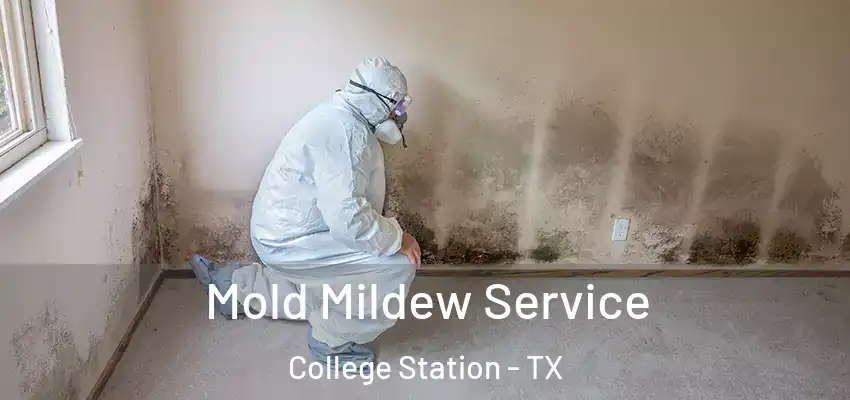  Mold Mildew Service College Station - TX