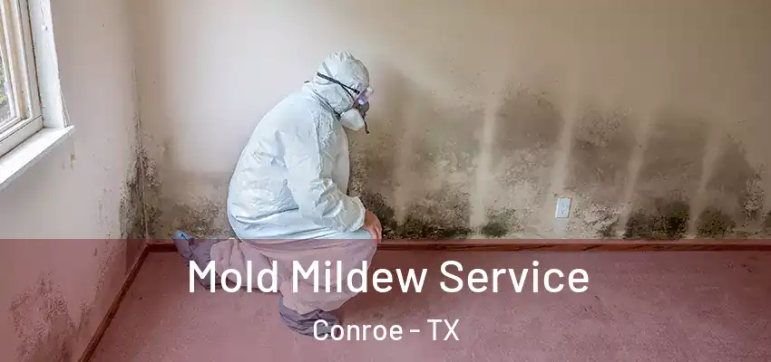 Mold Mildew Service Conroe - TX