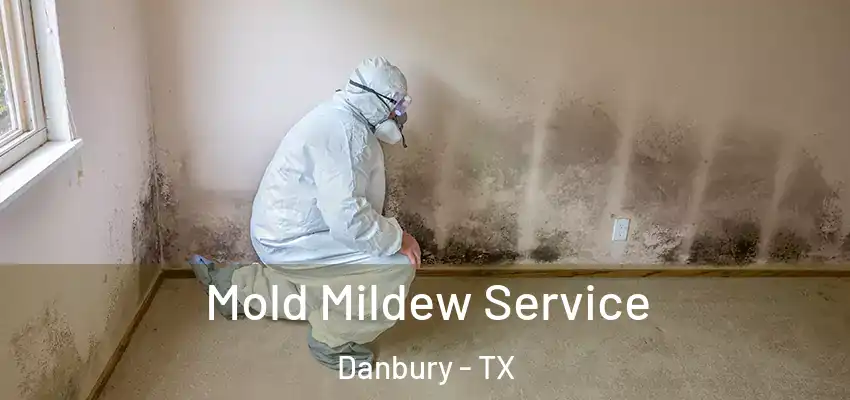 Mold Mildew Service Danbury - TX