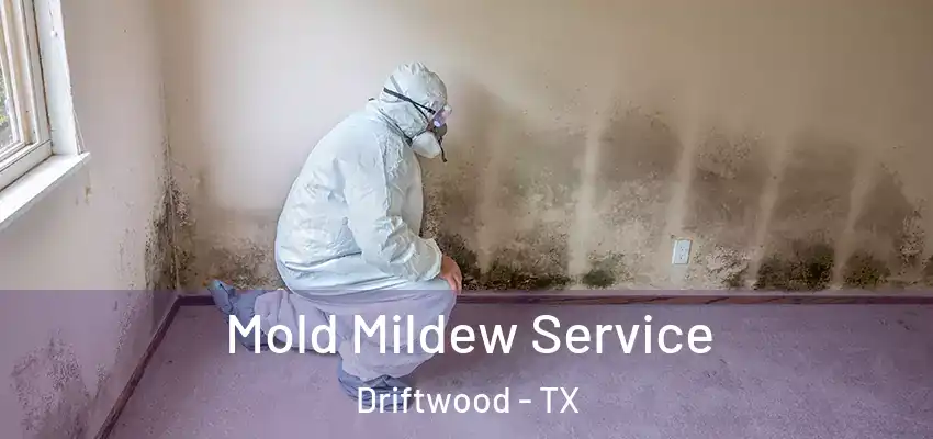  Mold Mildew Service Driftwood - TX