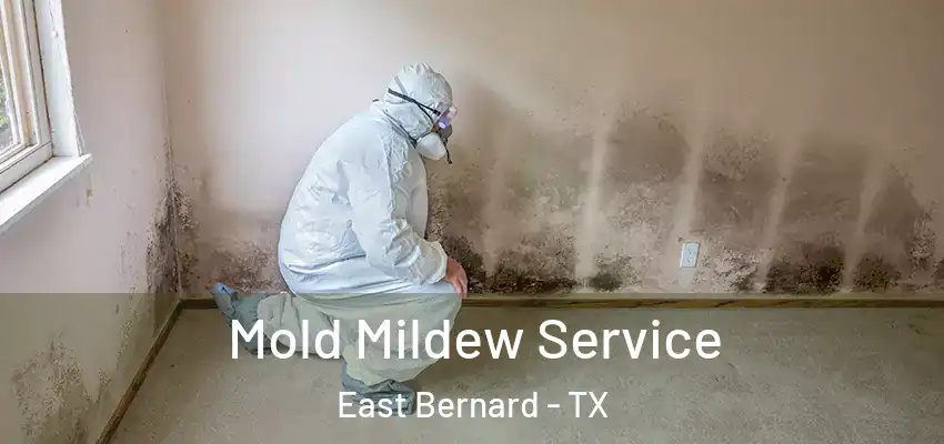  Mold Mildew Service East Bernard - TX