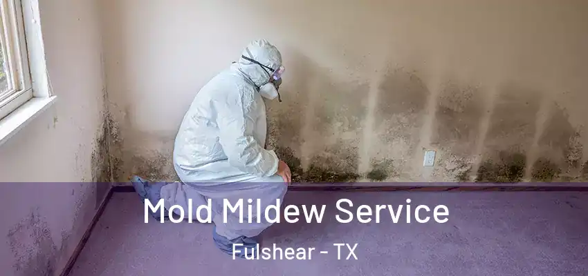 Mold Mildew Service Fulshear - TX