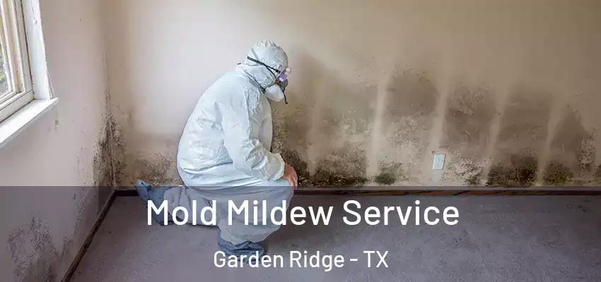  Mold Mildew Service Garden Ridge - TX