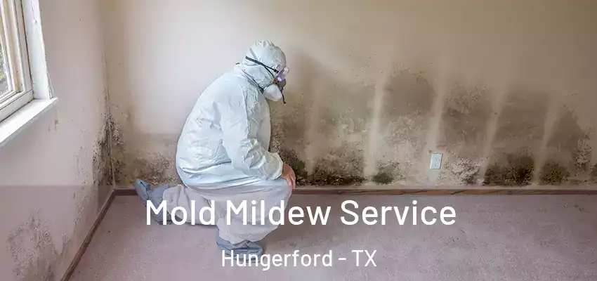  Mold Mildew Service Hungerford - TX