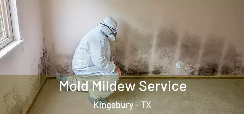 Mold Mildew Service Kingsbury - TX