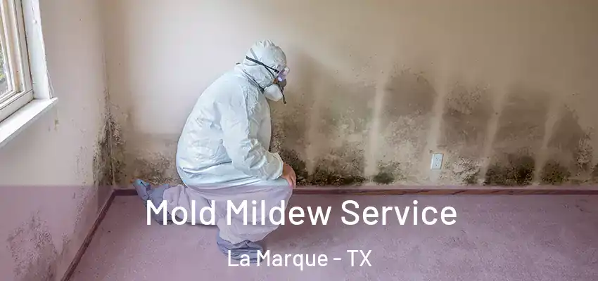 Mold Mildew Service La Marque - TX