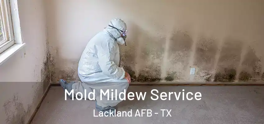  Mold Mildew Service Lackland AFB - TX