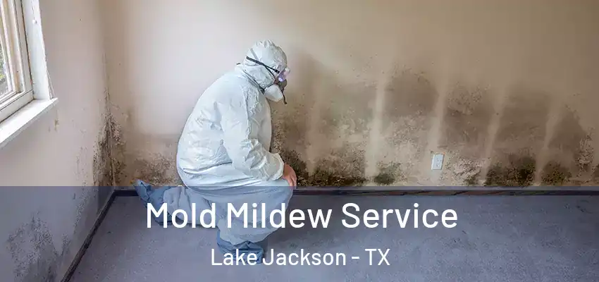  Mold Mildew Service Lake Jackson - TX