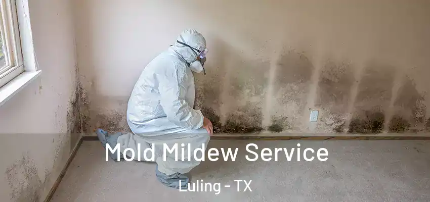  Mold Mildew Service Luling - TX