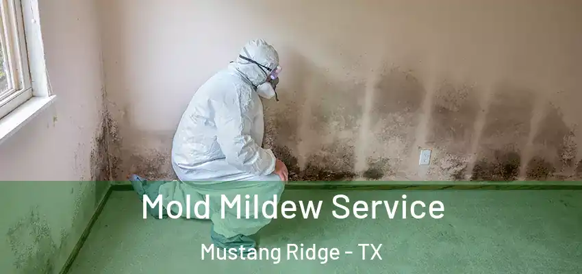  Mold Mildew Service Mustang Ridge - TX