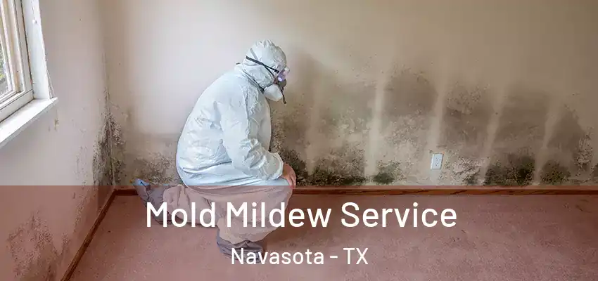 Mold Mildew Service Navasota - TX