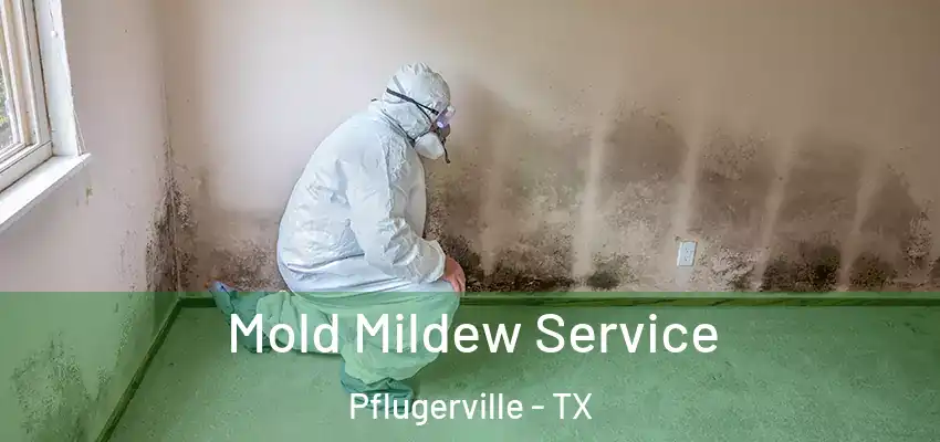 Mold Mildew Service Pflugerville - TX
