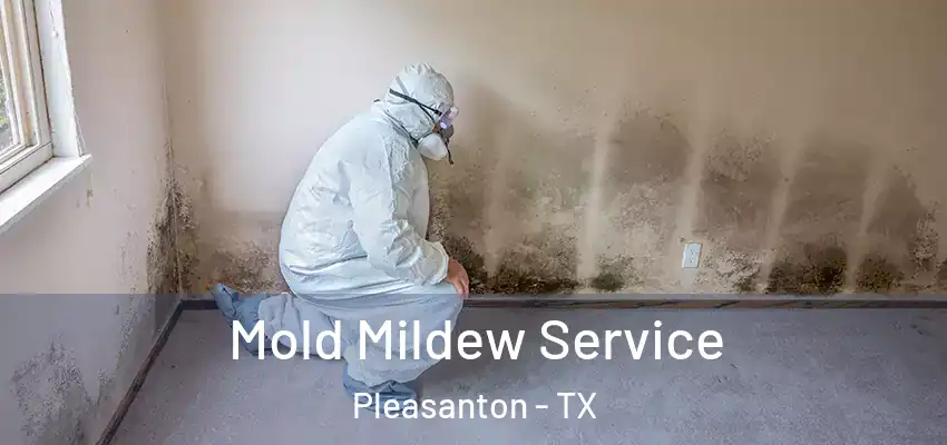  Mold Mildew Service Pleasanton - TX