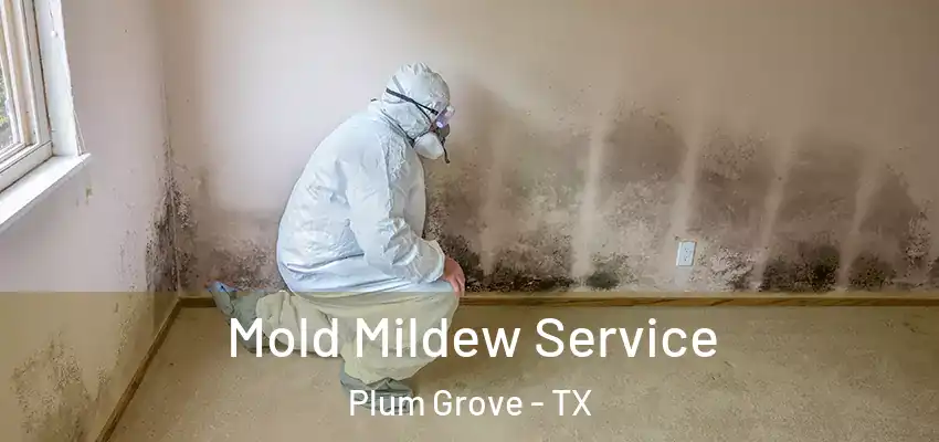  Mold Mildew Service Plum Grove - TX
