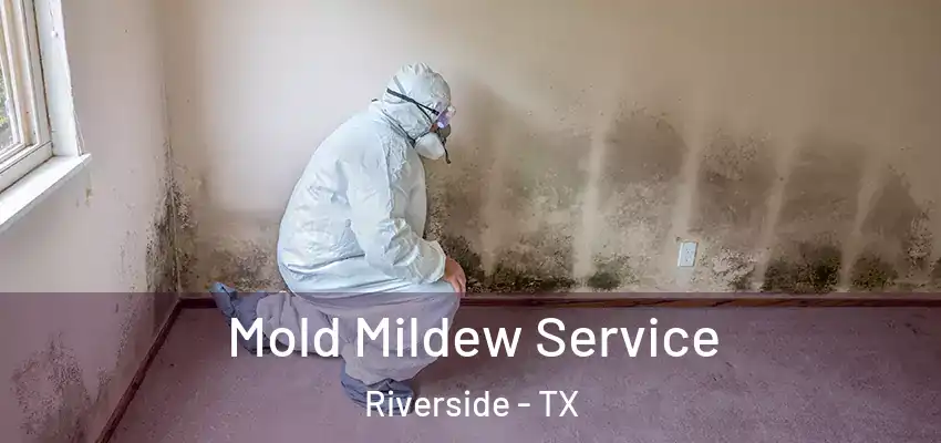  Mold Mildew Service Riverside - TX