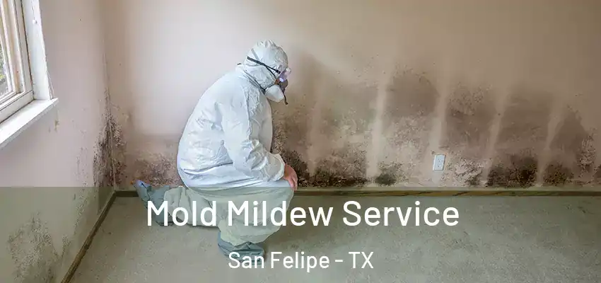 Mold Mildew Service San Felipe - TX