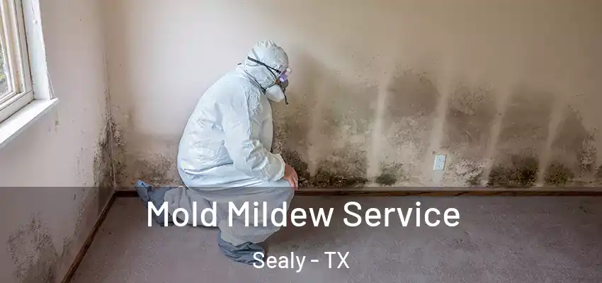 Mold Mildew Service Sealy - TX