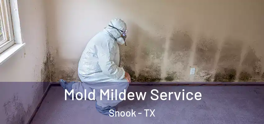 Mold Mildew Service Snook - TX