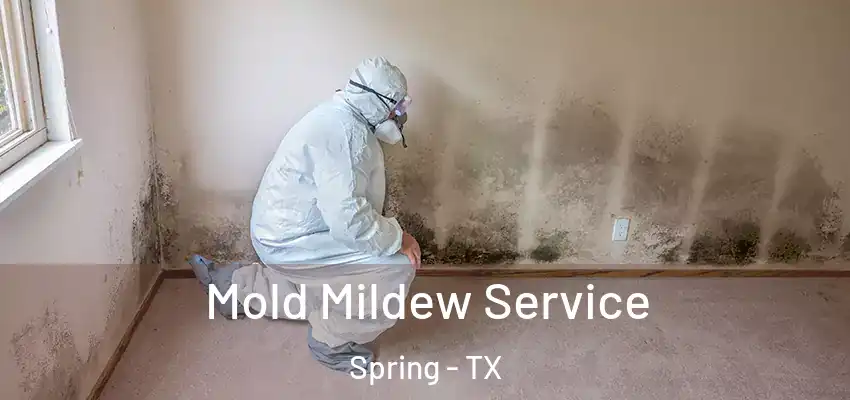 Mold Mildew Service Spring - TX