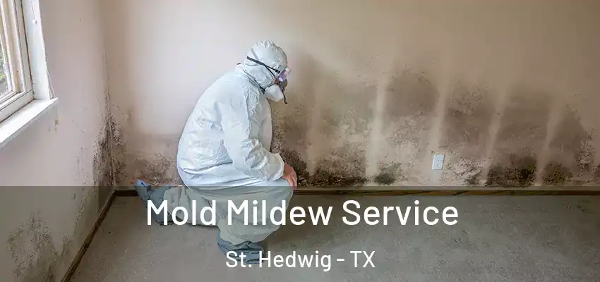  Mold Mildew Service St. Hedwig - TX