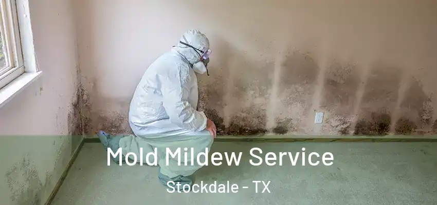 Mold Mildew Service Stockdale - TX