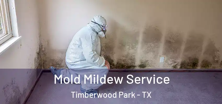  Mold Mildew Service Timberwood Park - TX