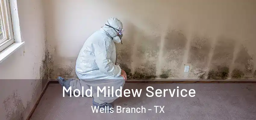  Mold Mildew Service Wells Branch - TX
