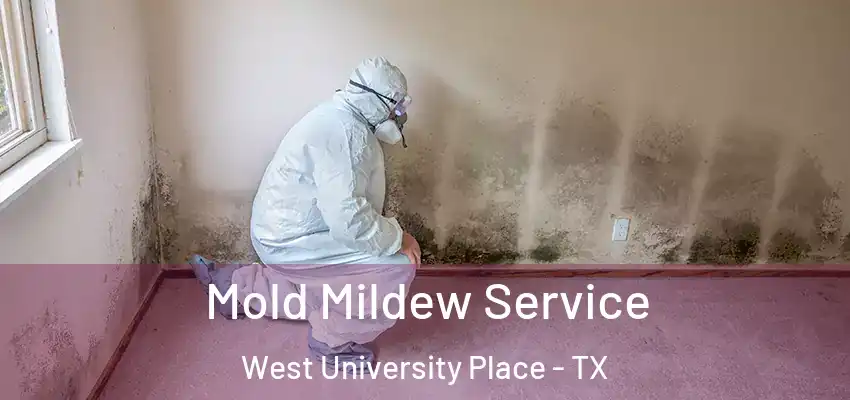  Mold Mildew Service West University Place - TX